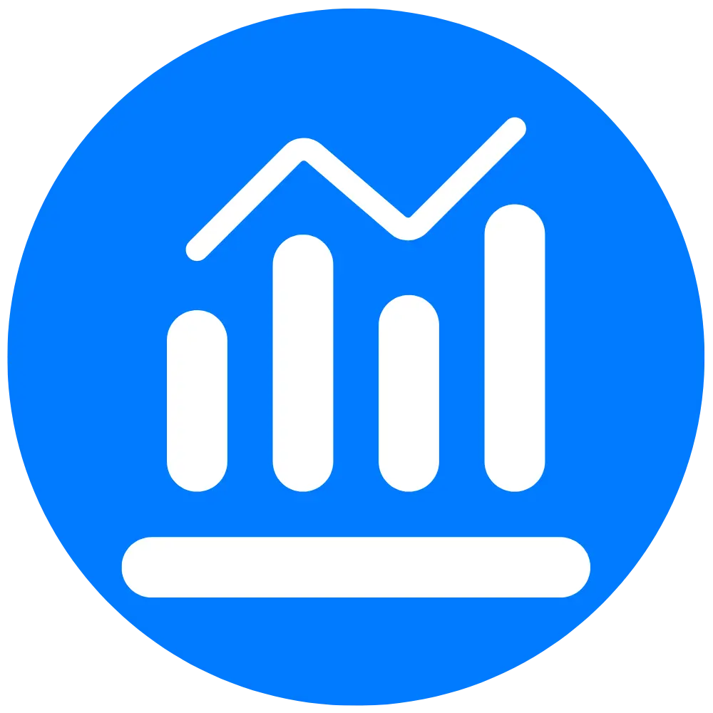 Affordable SEO expert helping small business owner